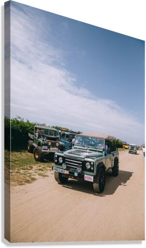 4J3A2178 Canvas Print