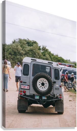 SF1A0434 Canvas Print