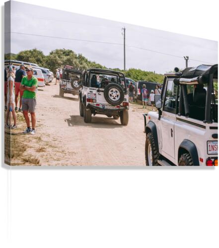 SF1A0485 Canvas Print