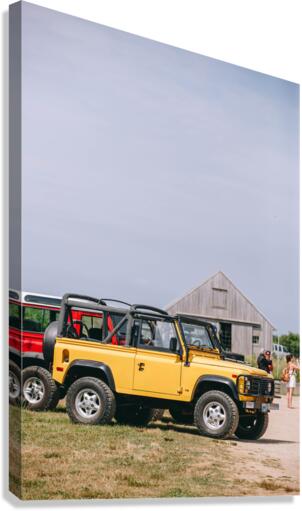 SF1A0545 Canvas Print