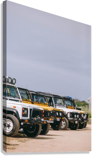 SF1A0430 Canvas Print