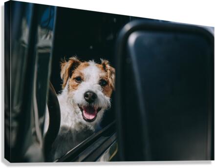 SF1A0608 Canvas Print