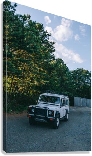 SF1A0667 Canvas Print