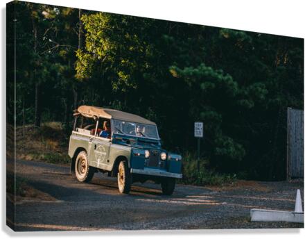 4J3A2655 Canvas Print
