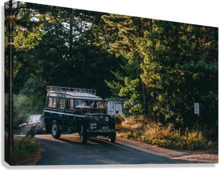 4J3A2600 Canvas Print