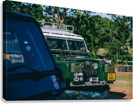 SF1A0766 Canvas Print