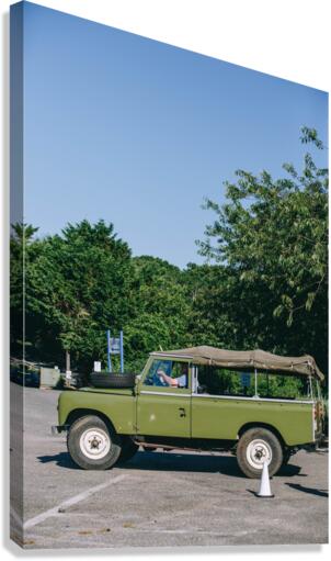 SF1A0861 Canvas Print