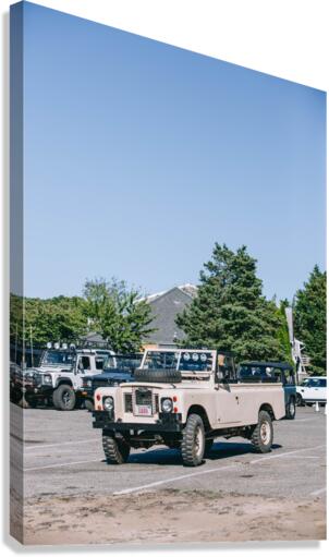 SF1A0865 Canvas Print