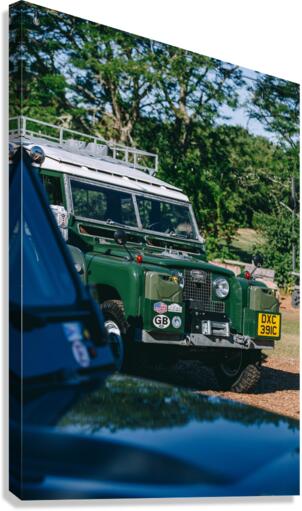 SF1A0767 Canvas Print