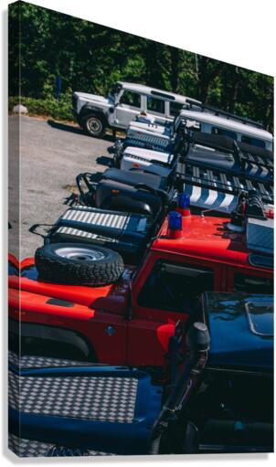 SF1A0973 Canvas Print