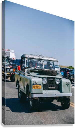SF1A1119 Canvas Print