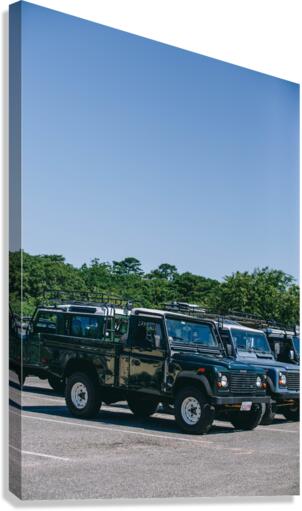 SF1A0988 Canvas Print