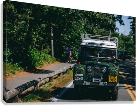 SF1A1017 Canvas Print