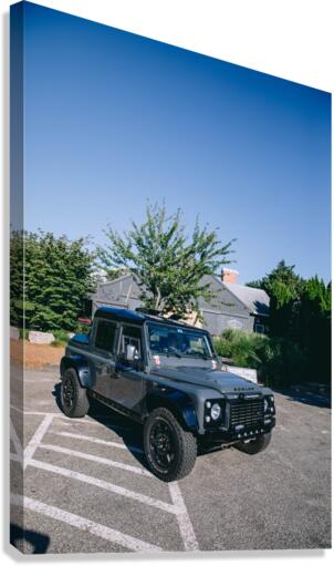 4J3A2800 Canvas Print