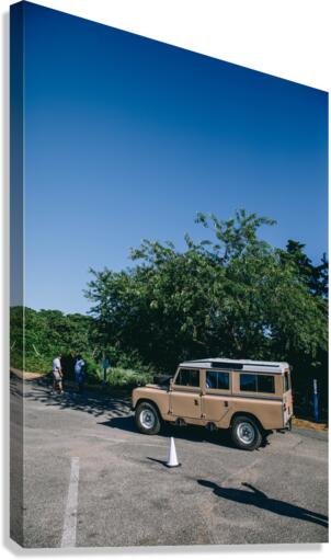 4J3A2892 Canvas Print