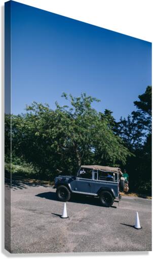 4J3A2929 Canvas Print
