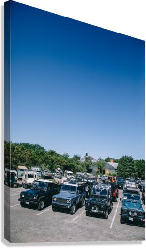 4J3A3120 Canvas Print