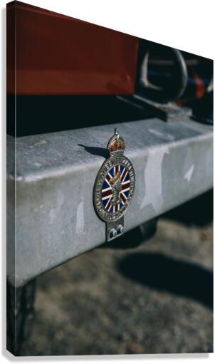 4J3A7172 Canvas Print