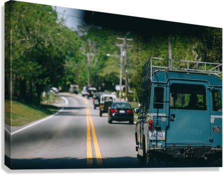SF1A9396 Canvas Print