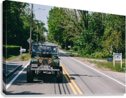 SF1A9149 Canvas Print