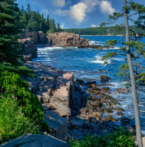 Mount Desert Island Coast