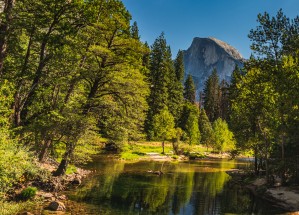 Half Dome View