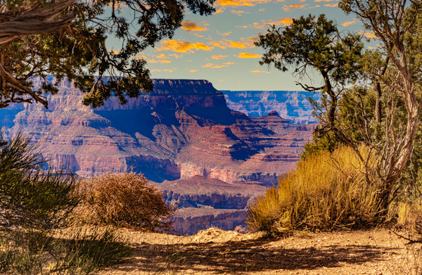 Grand Canyon In Autumn Print