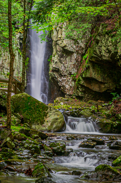 Waterfall In The Forest Print