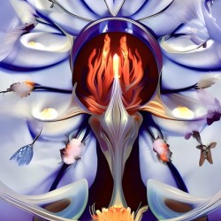 Orchid