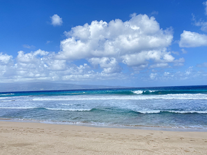 Maui Mondays