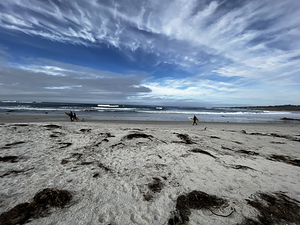 Moss Beach