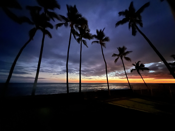 Blue Palms Keauhou by Angelia M Baxter