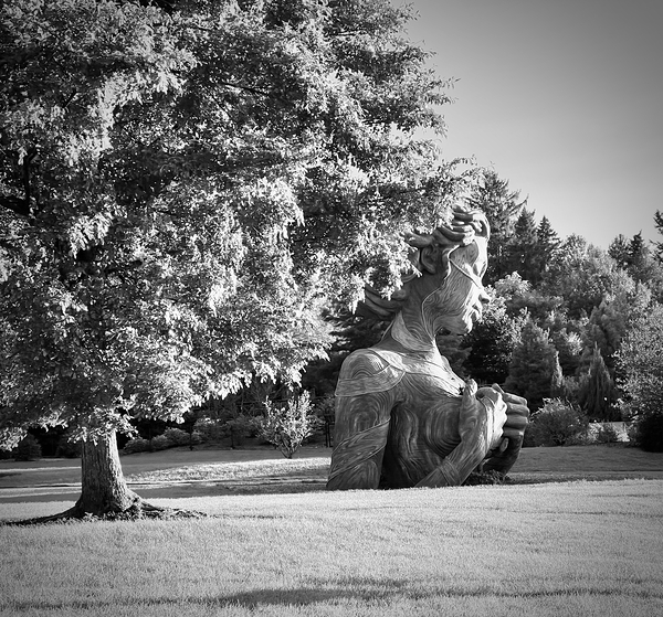 Hidden Hallow B&W by Angelia M Baxter
