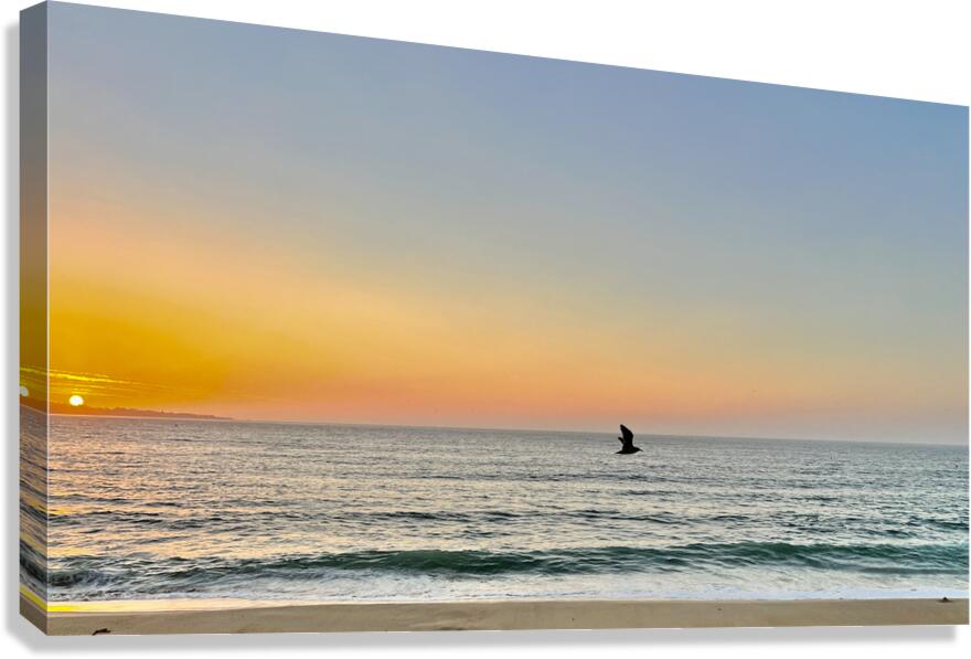 Seaside Flight Canvas Print