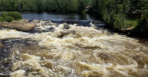 Rapids 