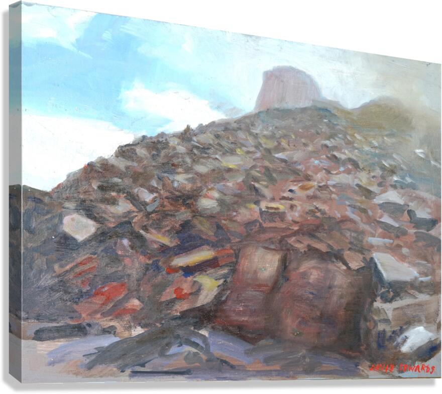 Scree - Canadian Rockies Canvas Print