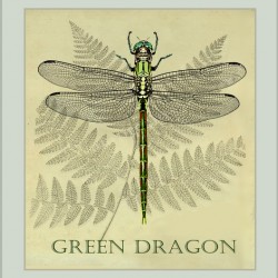 Green Dragonfly 