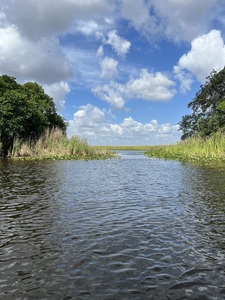 Everglades