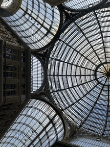 Napoli Nets
