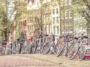 The Bicycle City