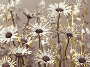Flourishing Flowers