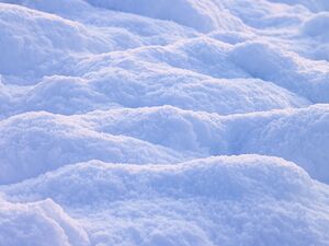 Snow Close up