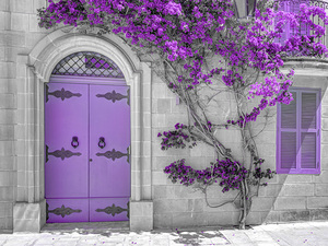 Maltese House