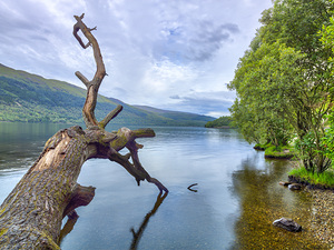 Loch Serenity