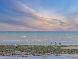 Dog Walking at Seaside