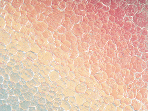 Rainbow Bubbles