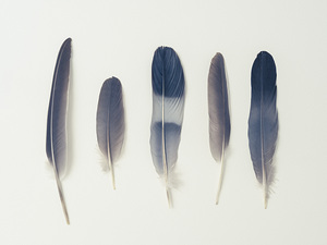Subtle Harmony