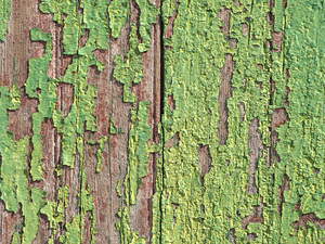Old weathered wooden door in green color Basseterre Saint Kitts and Nevis