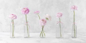 Ranunculus in Glass Bottles