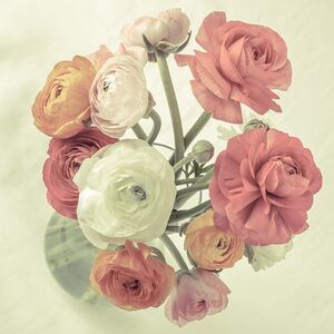 Bouquet of Beauty
